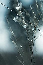 《怪物猎人：荒野》PC性能测试工具上线 提前测试性能指标